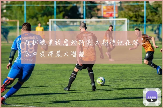 森林狼重视詹姆斯实力期待他在球队中发挥最大潜能