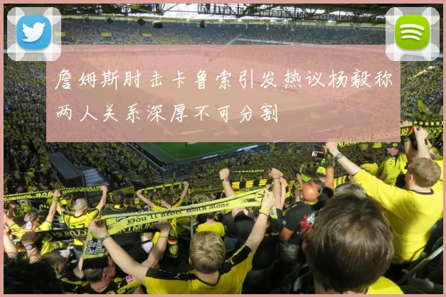 詹姆斯肘击卡鲁索引发热议杨毅称两人关系深厚不可分割