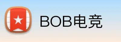 BOB电竞 Logo